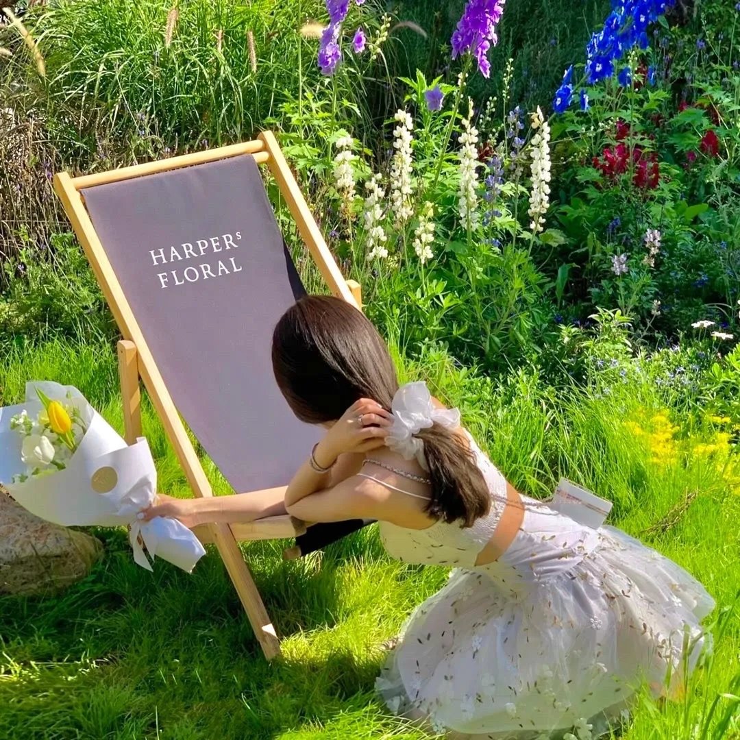 金馆长对金馆长对金馆长